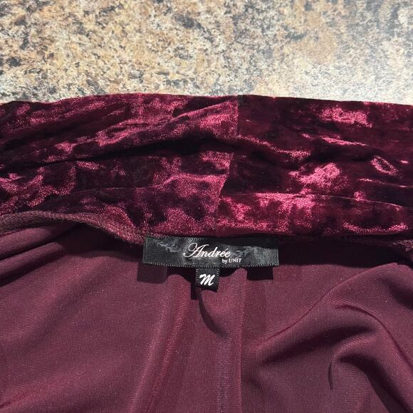 Andree Cardigan Velvet Embroidered Whimsigoth Renaissance Boho Grunge Medium HH - Picture 3 of 5